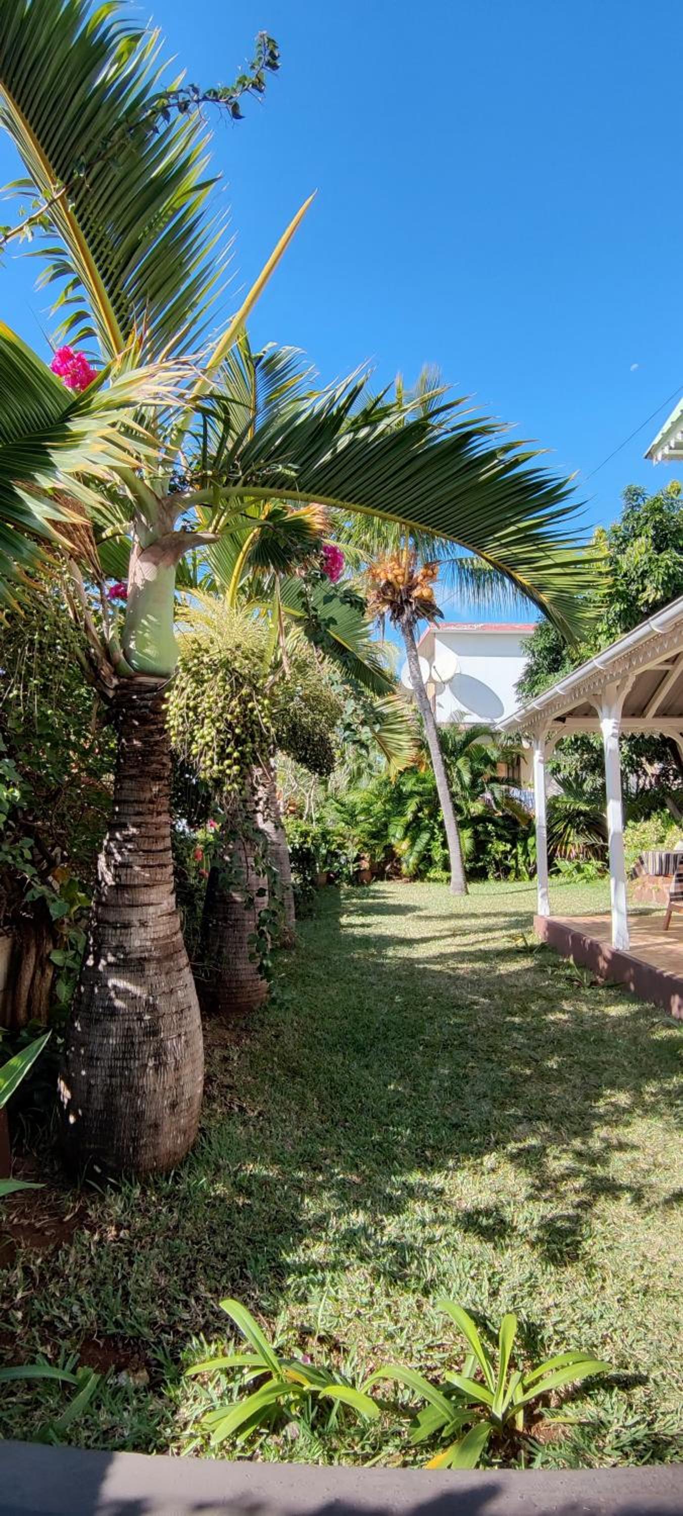R GARDEN Pointe Aux Sables