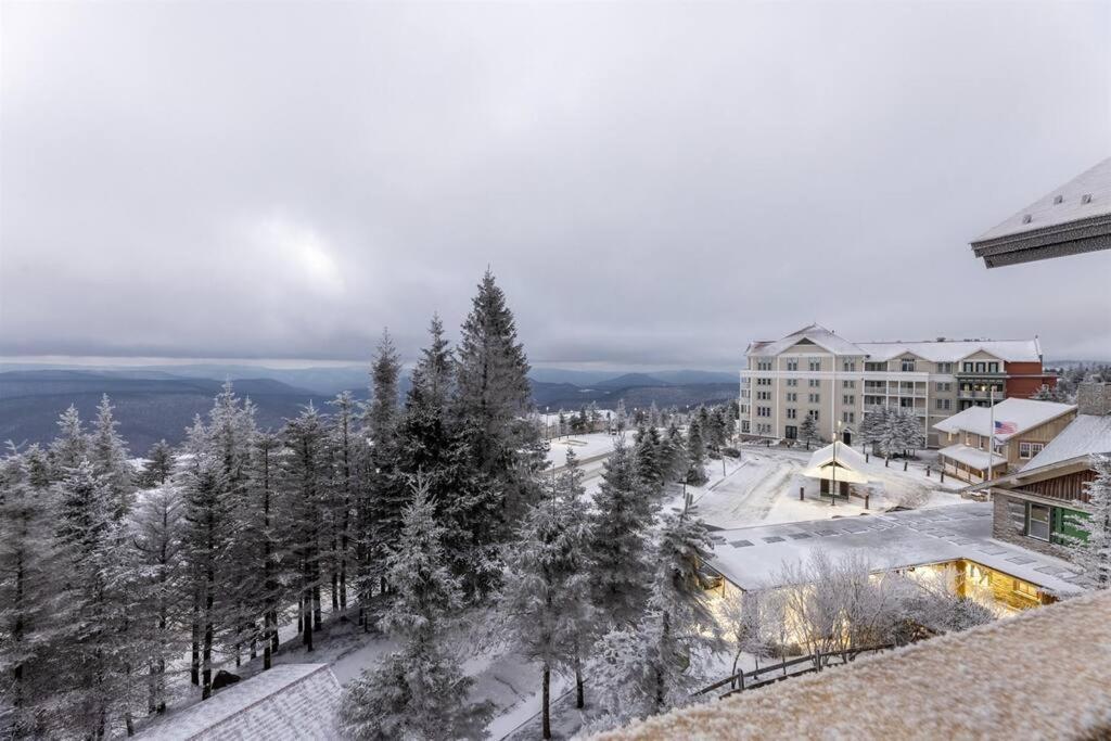 2BR Ski-InOut Condo, Hot Tub, Snowshoe Resort view 3