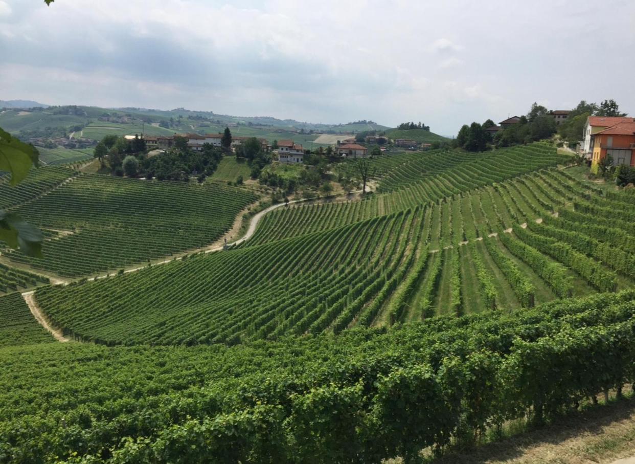 Castello Stella Vaglio Serra view 5