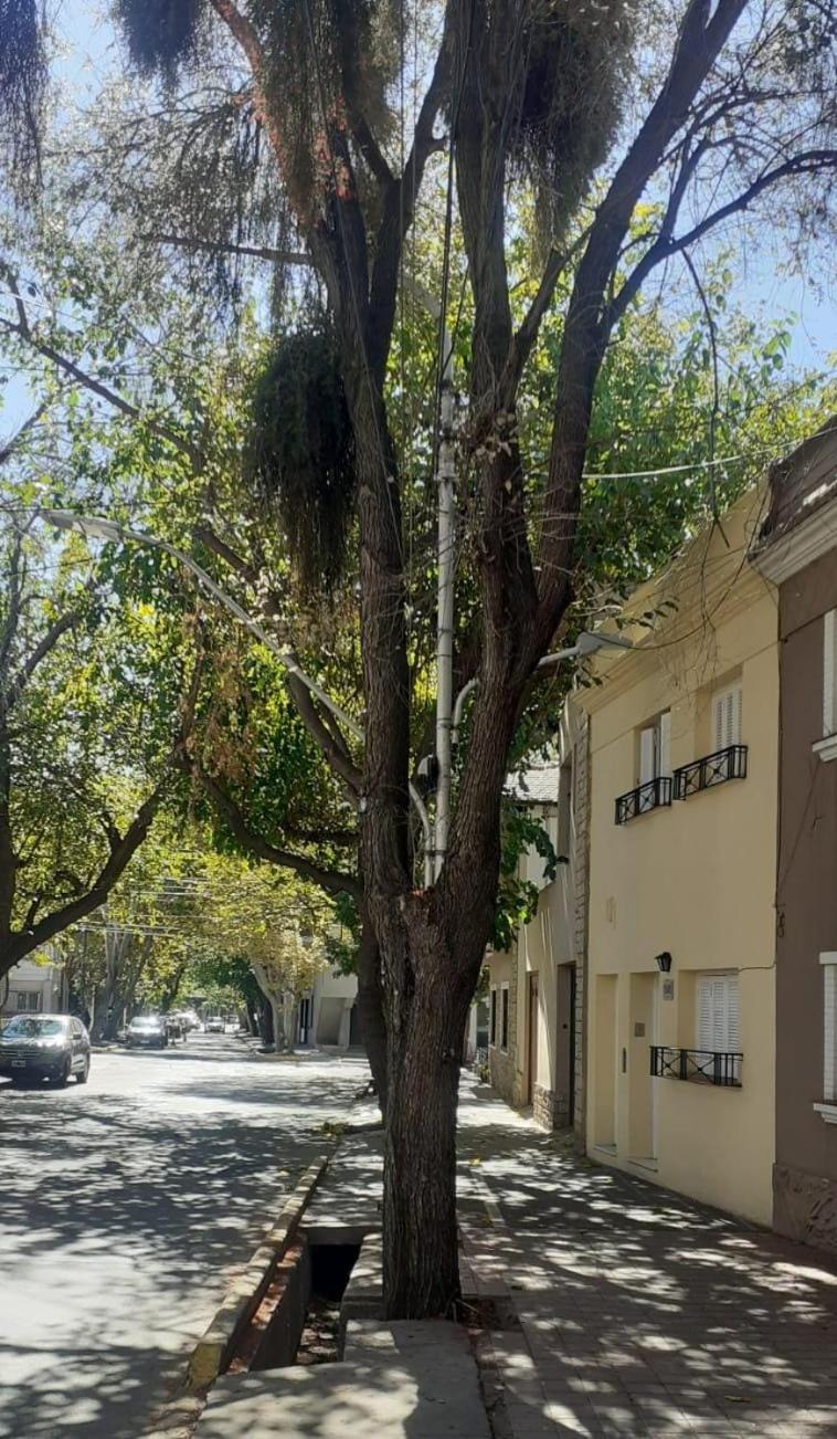 A un paso del Parque