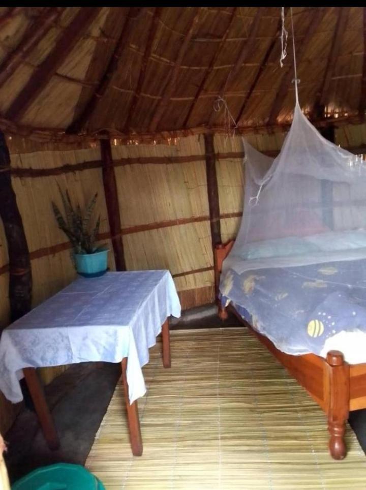 Rain Drops Foundation & huts view 2