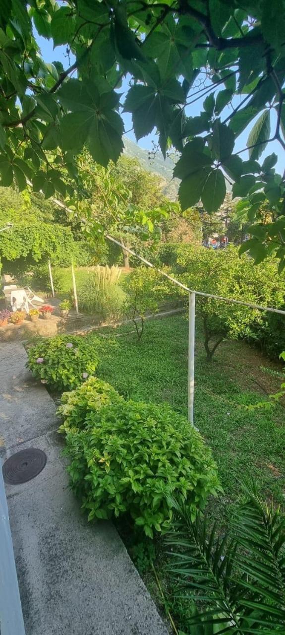 Sunshine Apartment view 4