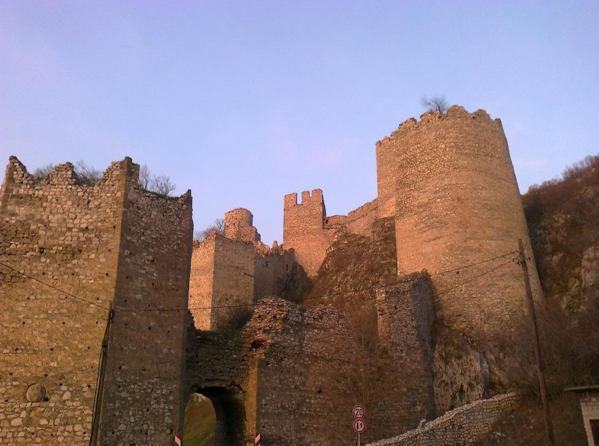 Photo 100