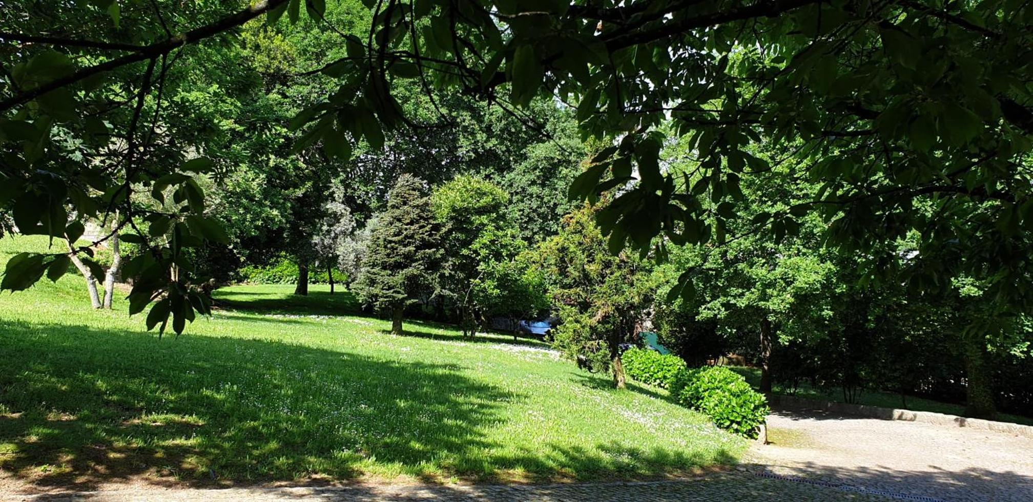 Bosque Encantado