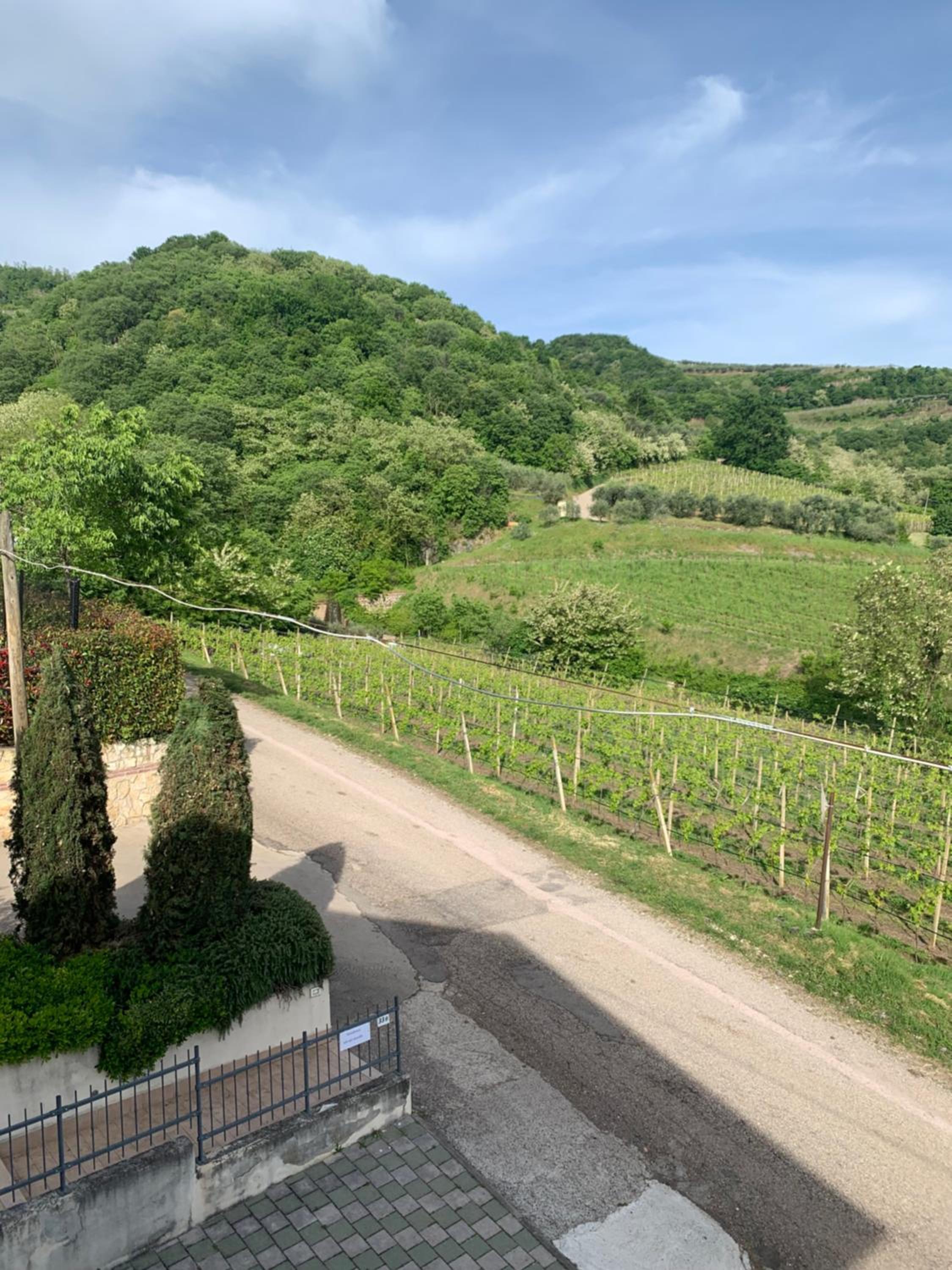 Residenza Viti del Durello Locazione turistica view 3