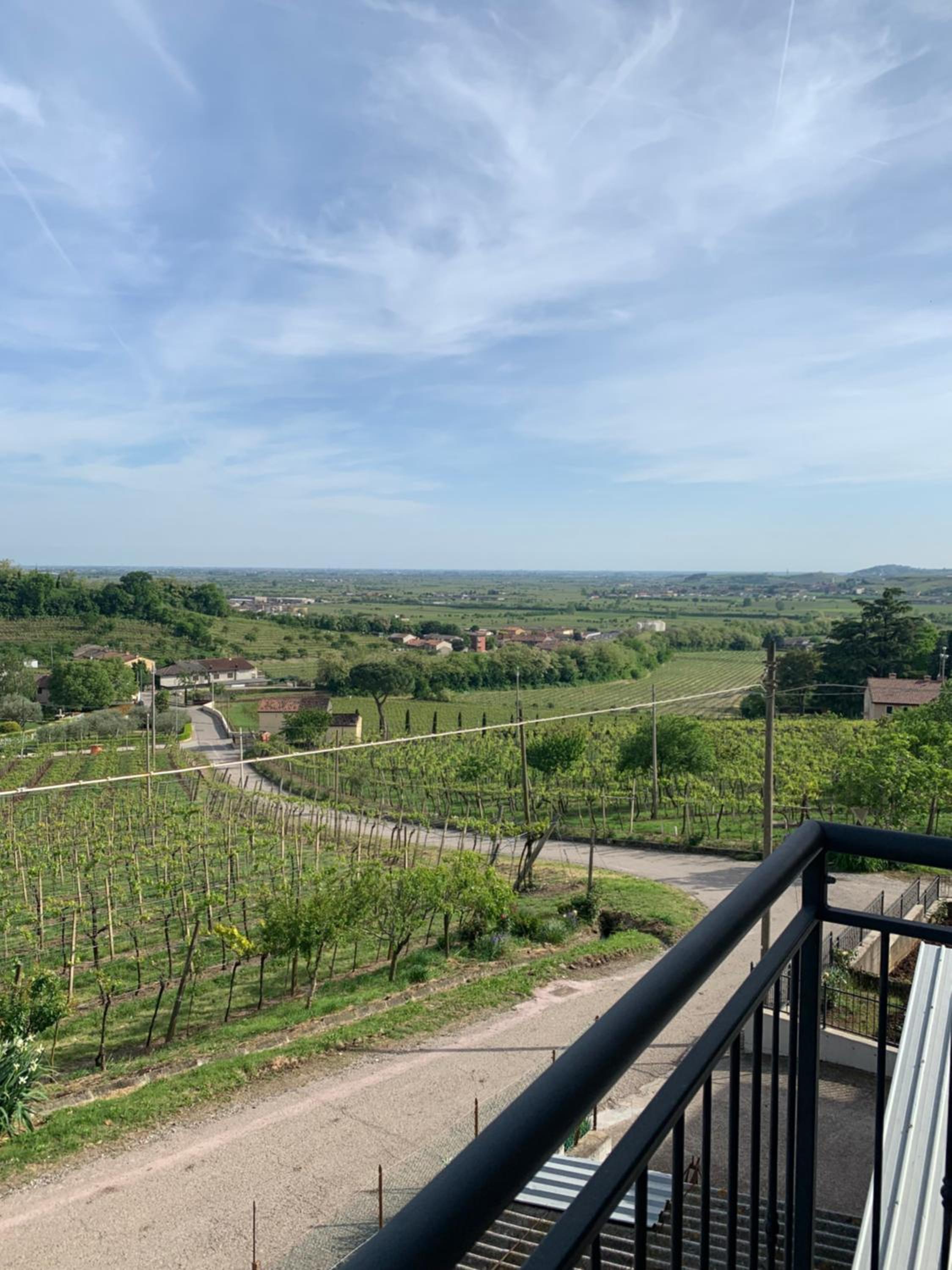Residenza Viti del Durello Locazione turistica view 4
