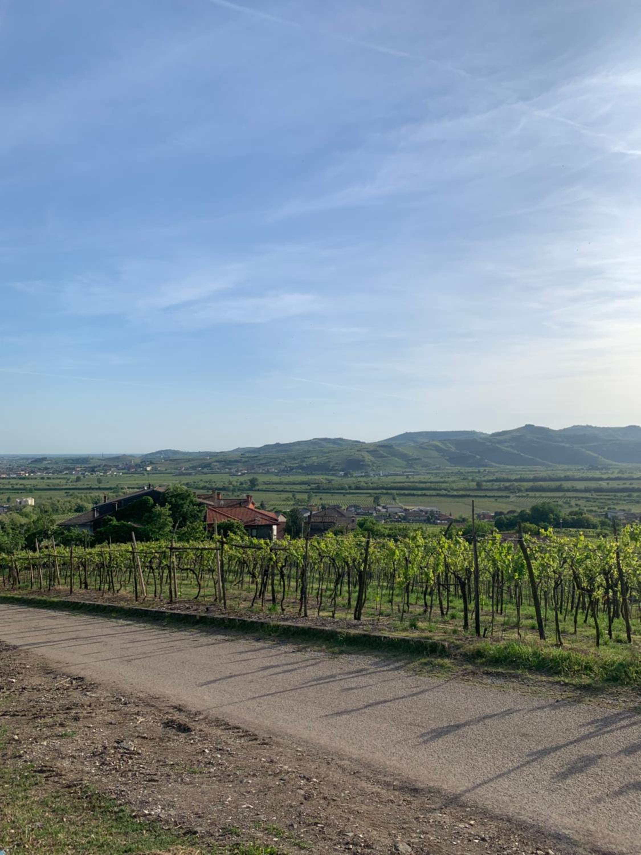 Residenza Viti del Durello Locazione turistica view 5