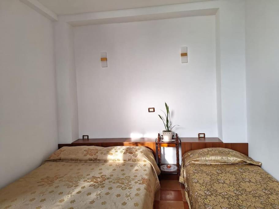 Flower House Shkodra