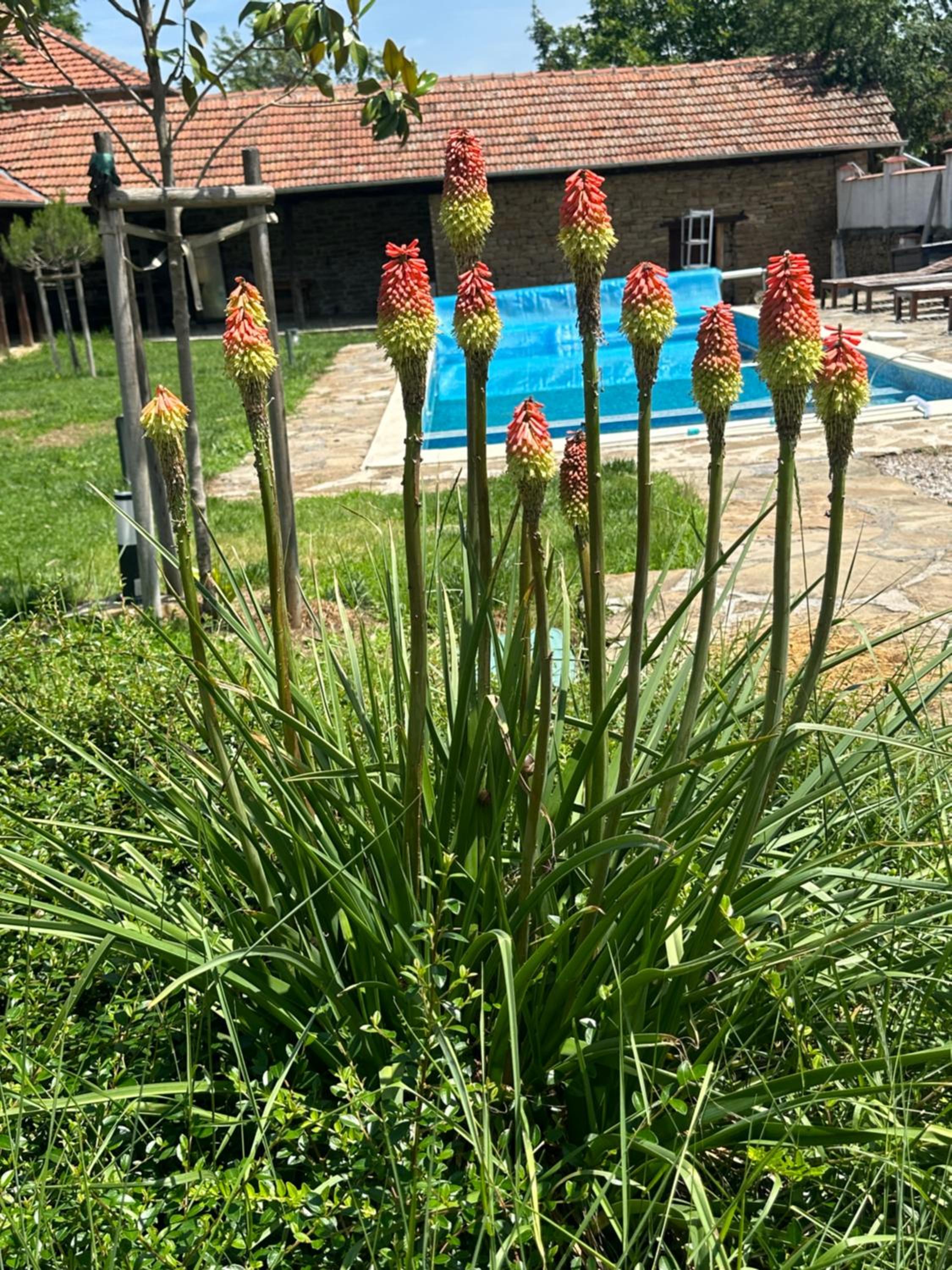 Chez le Colonel Pool House