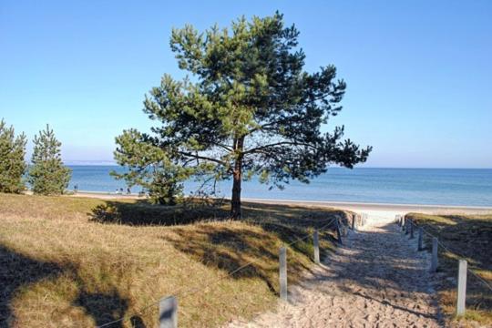 Strandvilla Aegir mit Ostseeblick