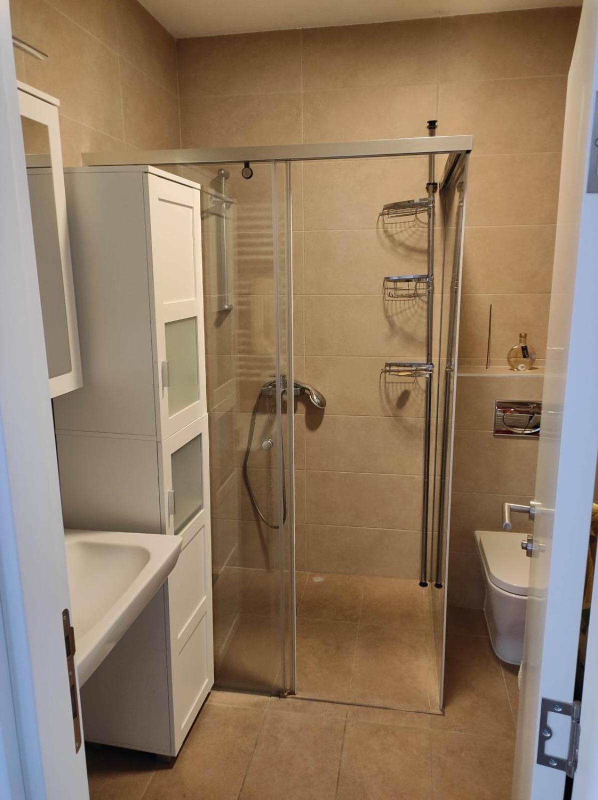 Vracar apartment