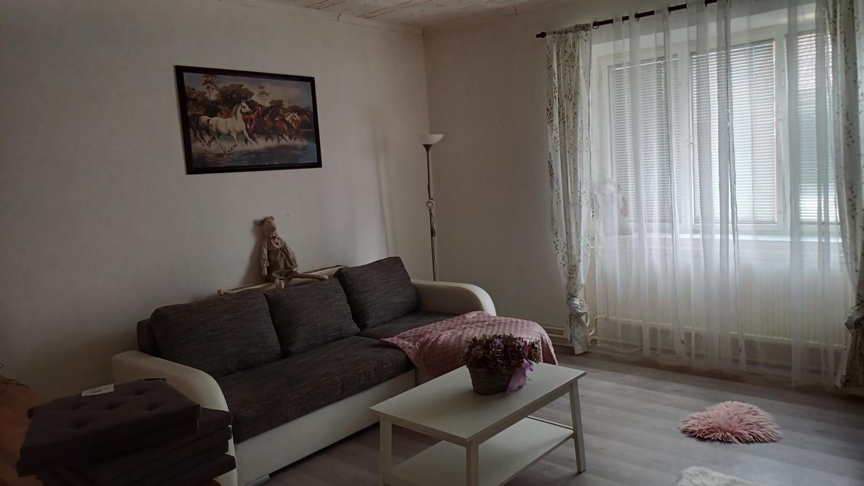 Apartmán Silvie