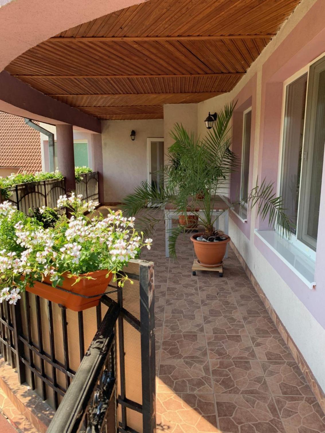 Casa cu Mesteceni Calimanesti