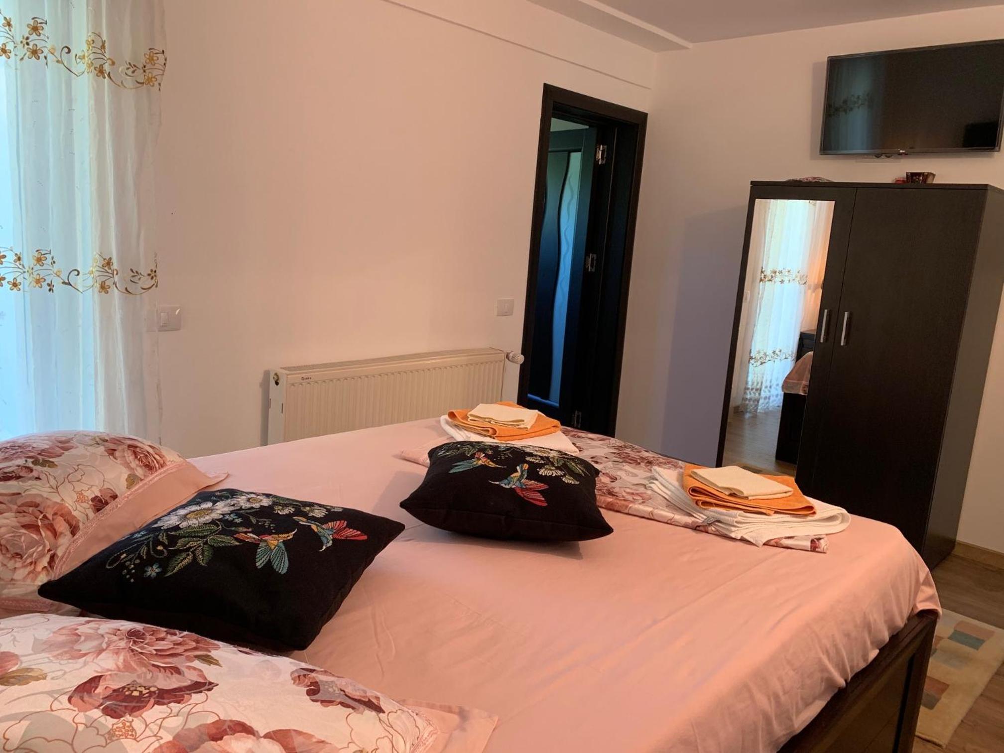 Casa cu Mesteceni Calimanesti