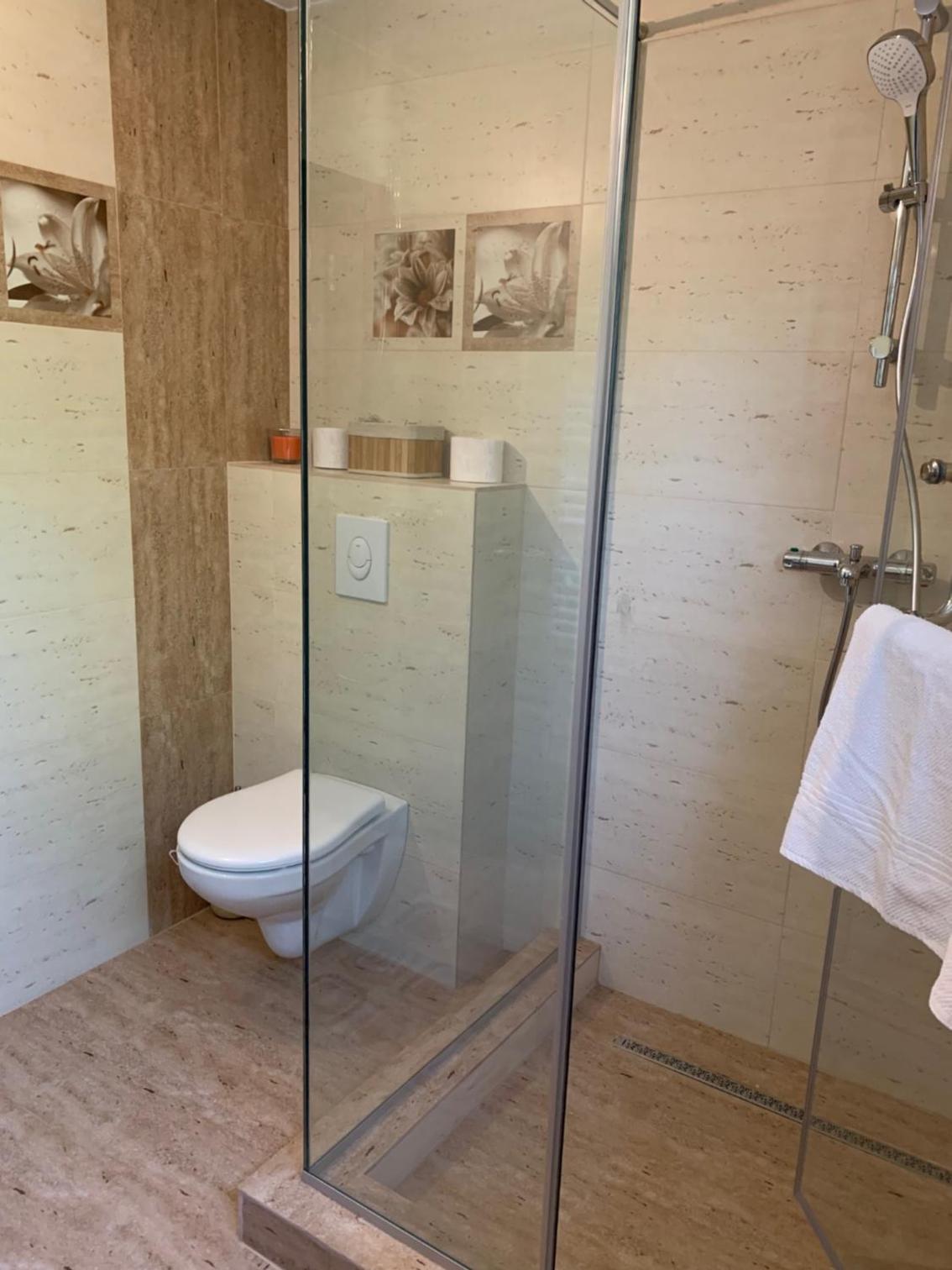Casa cu Mesteceni Calimanesti