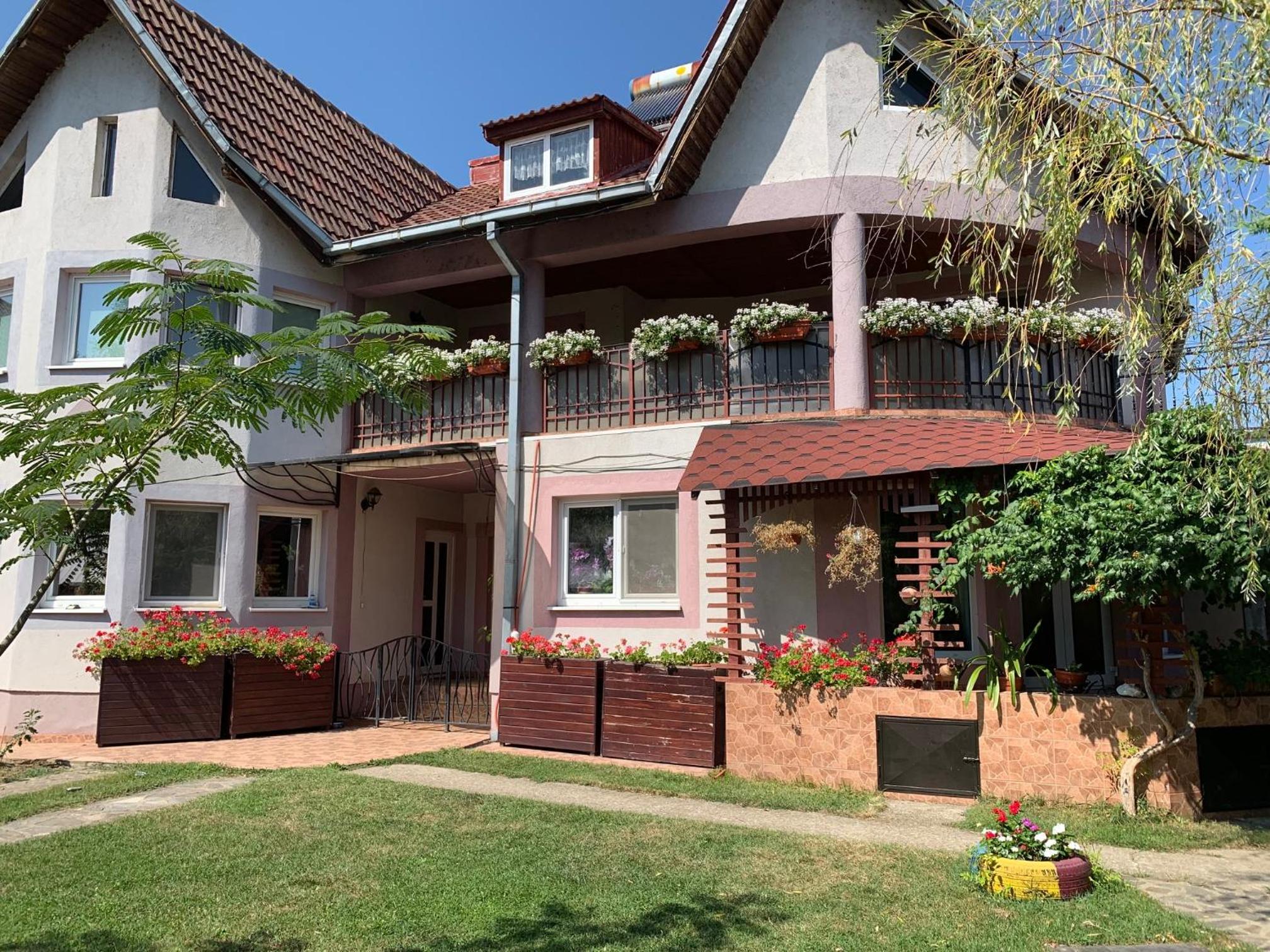 Casa cu Mesteceni Calimanesti