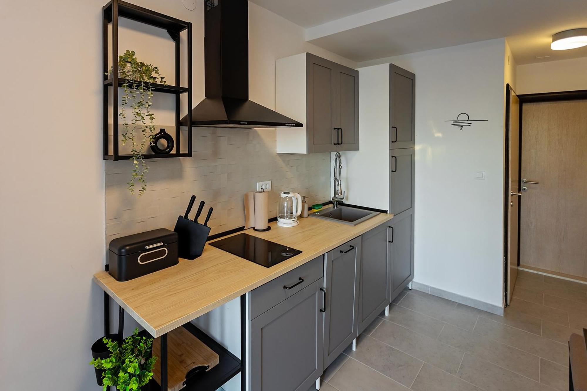 Renovated Apartments Skorin