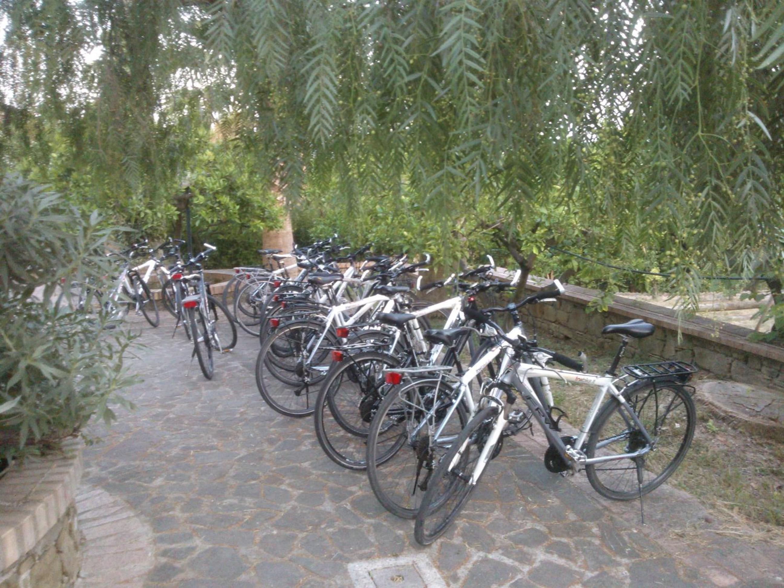 Photo 20