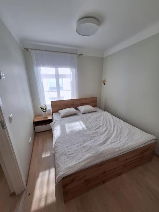 Cozy apartament near bus station