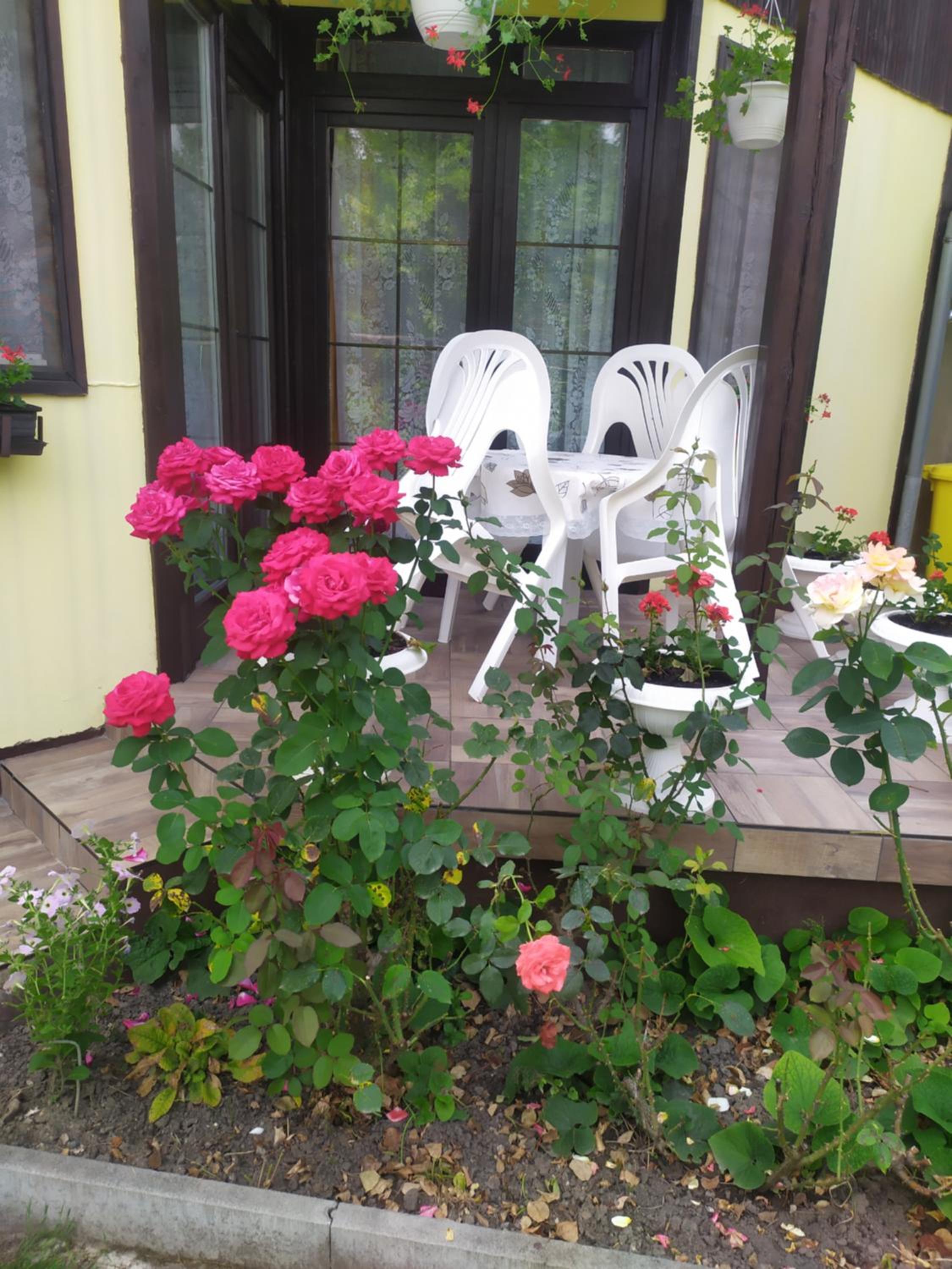Photo 43