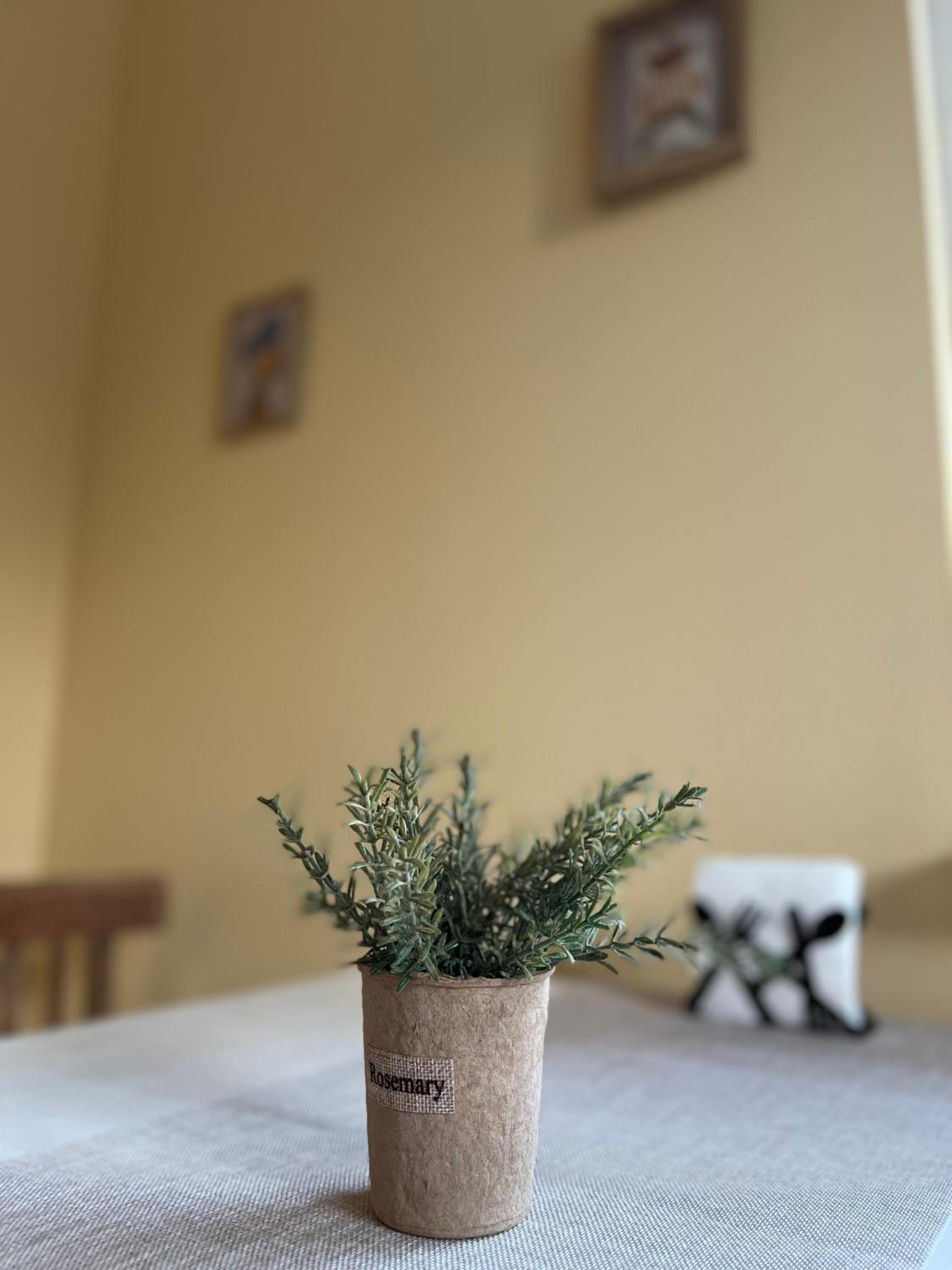 Cute and Cozy Flat