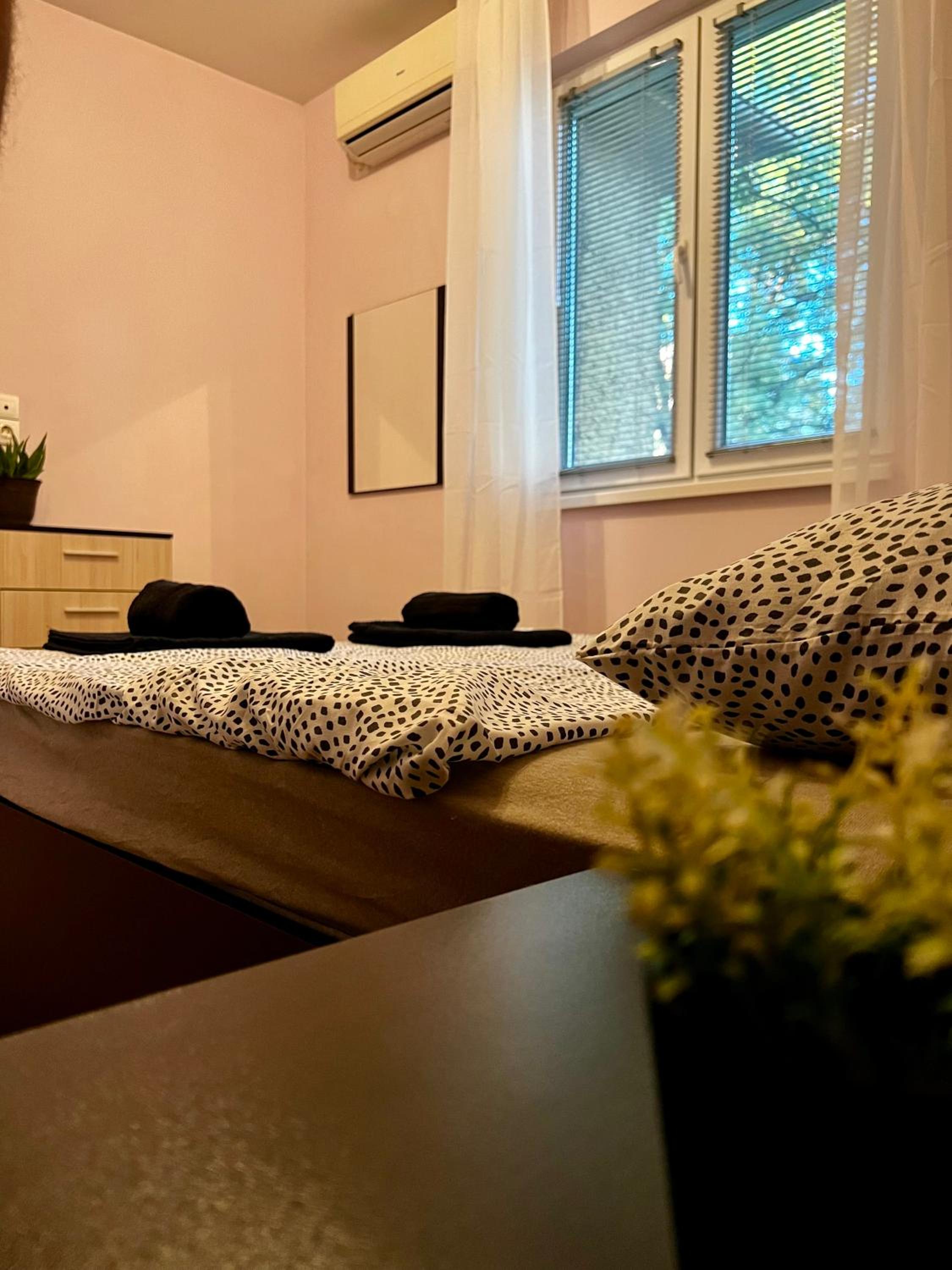 Cute and Cozy Flat