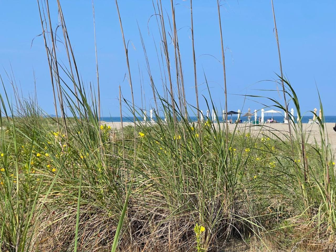 Colors by the Sea at Lalzi Bay