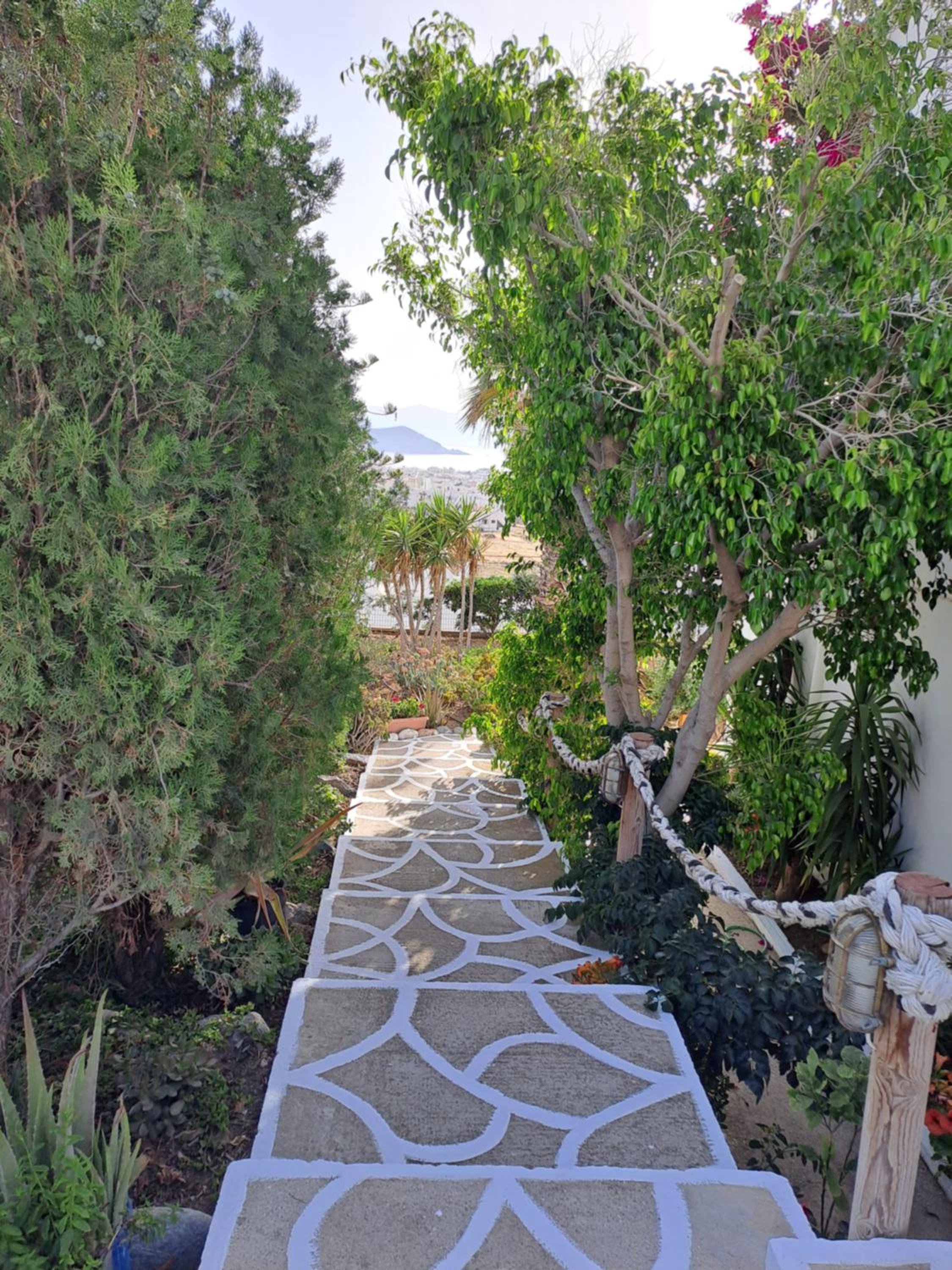 Naxian Sofias garden