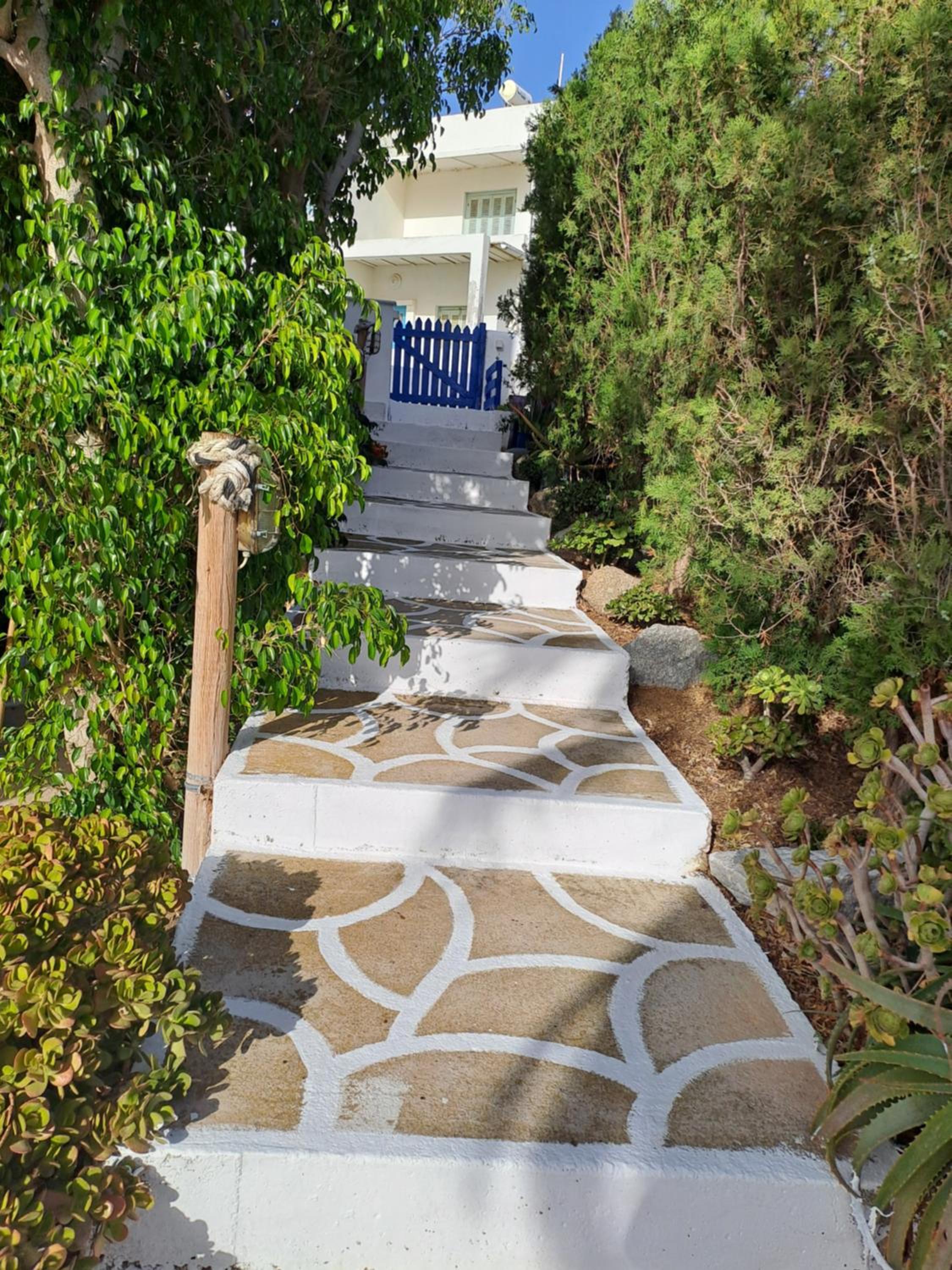 Naxian Sofias garden