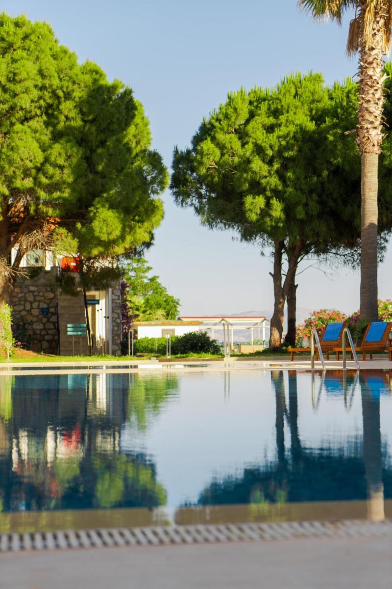 Photo 101
