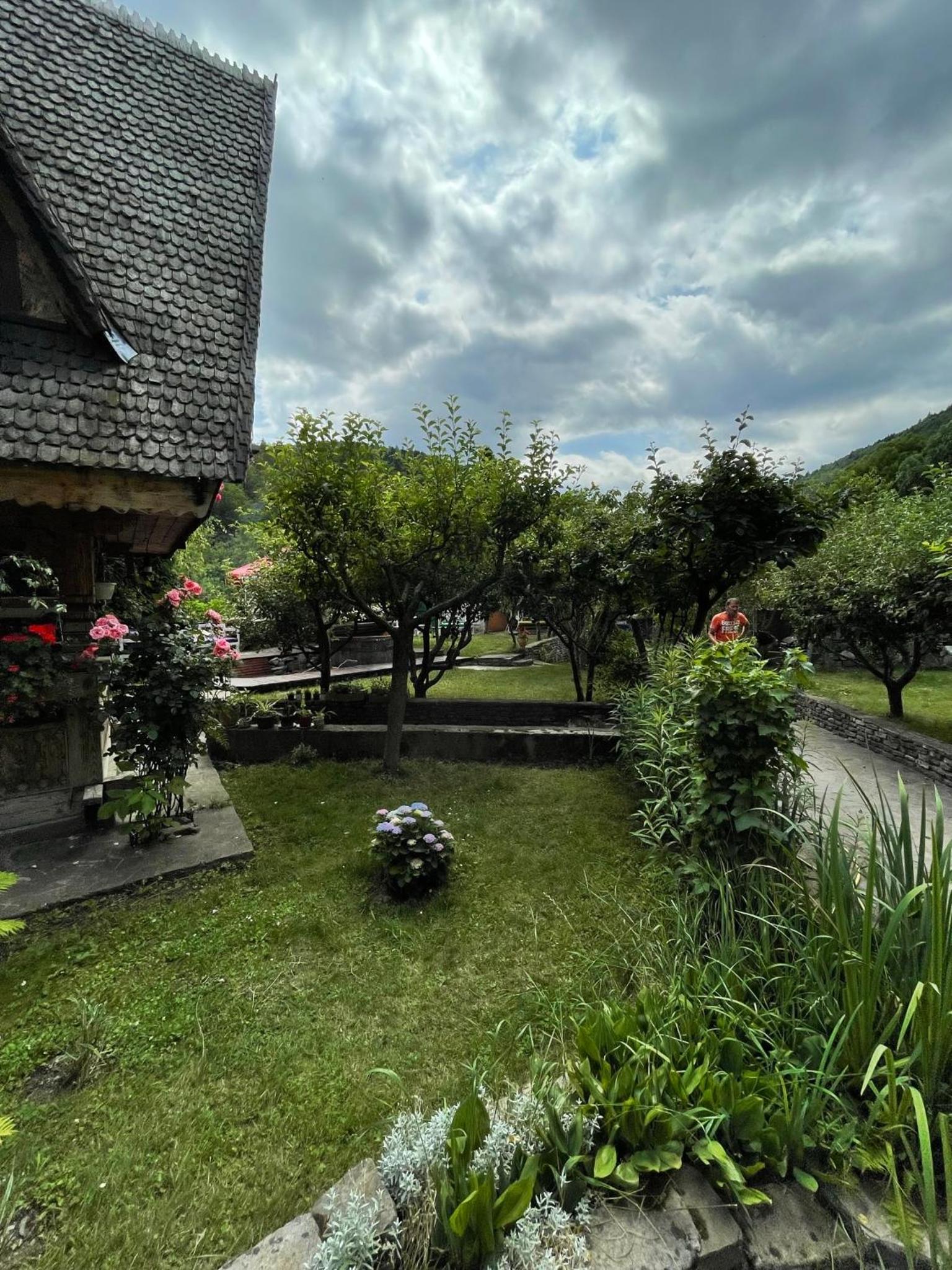 Photo 13