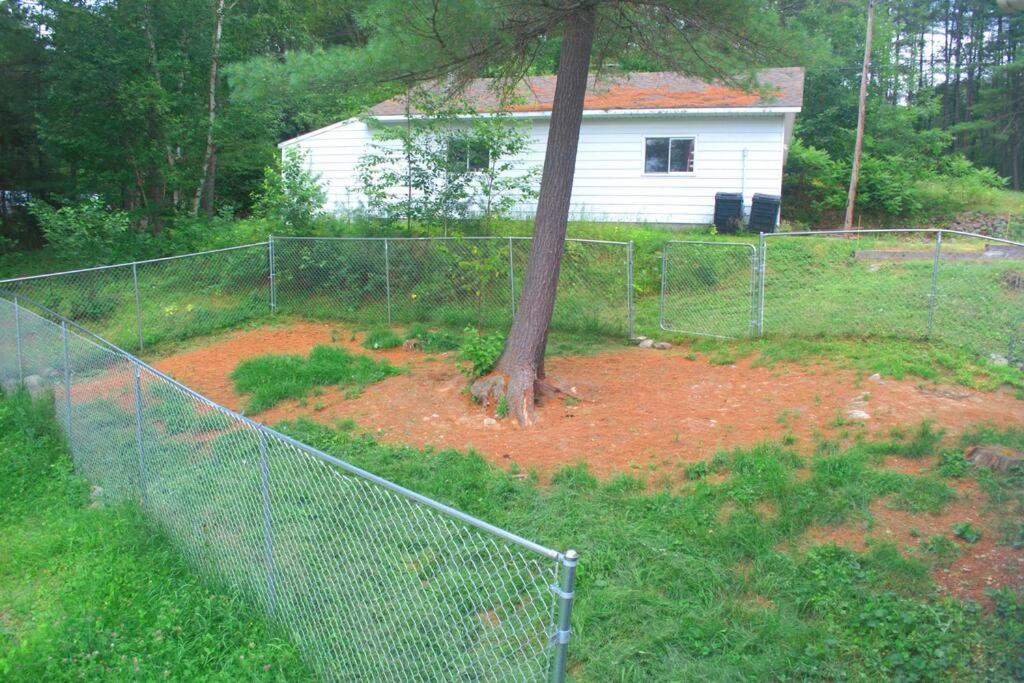 Escape to Corry Lake Cottage