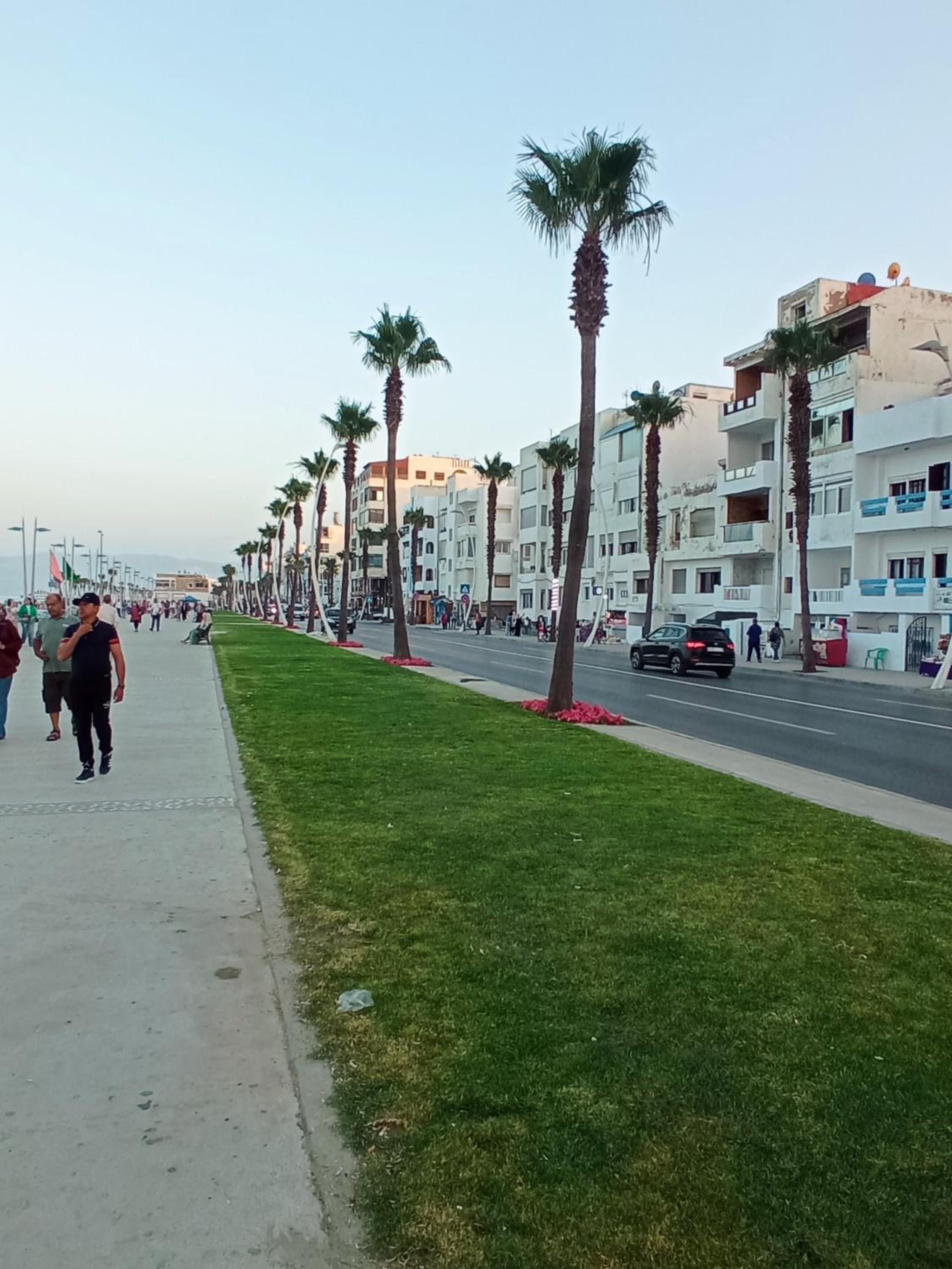 SolMar 1