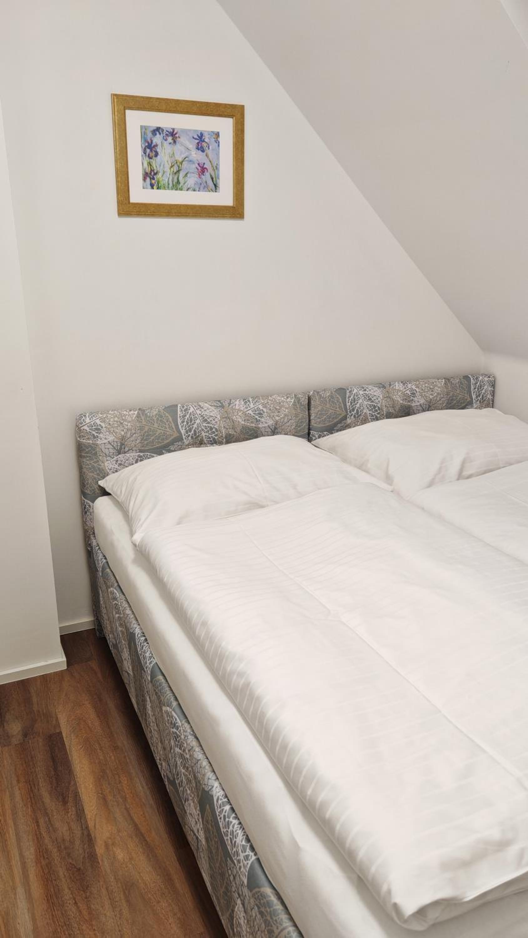 Apartmány Mušlovské Vinohrady