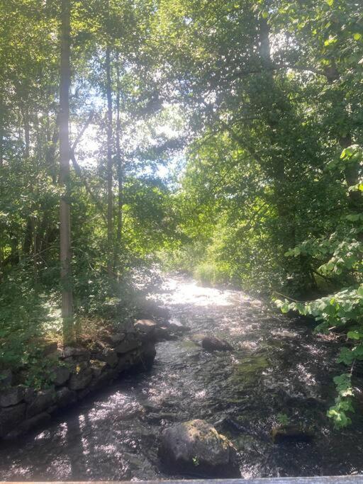 Mejerikvillen