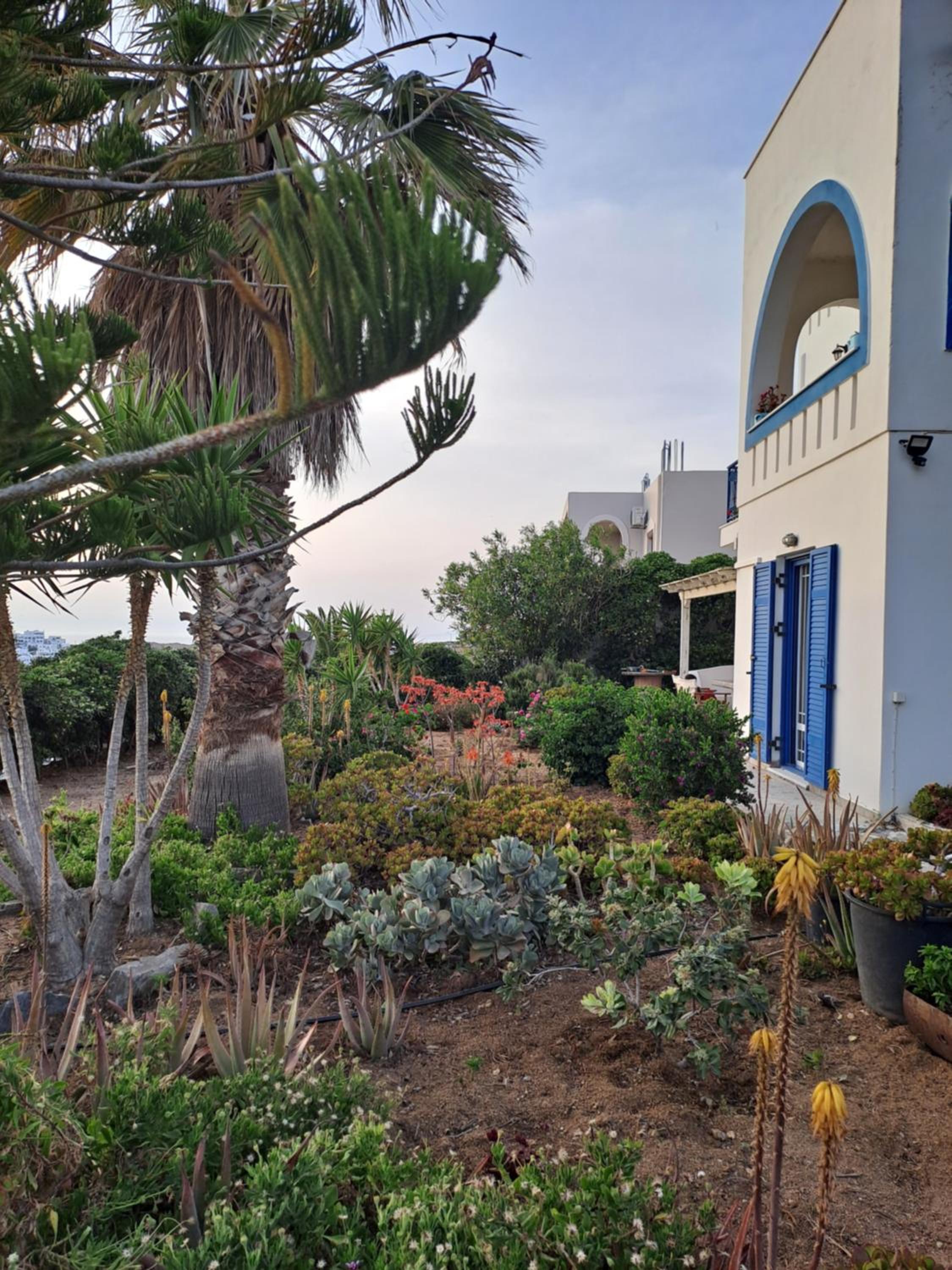 Naxian Sofias garden photo 4