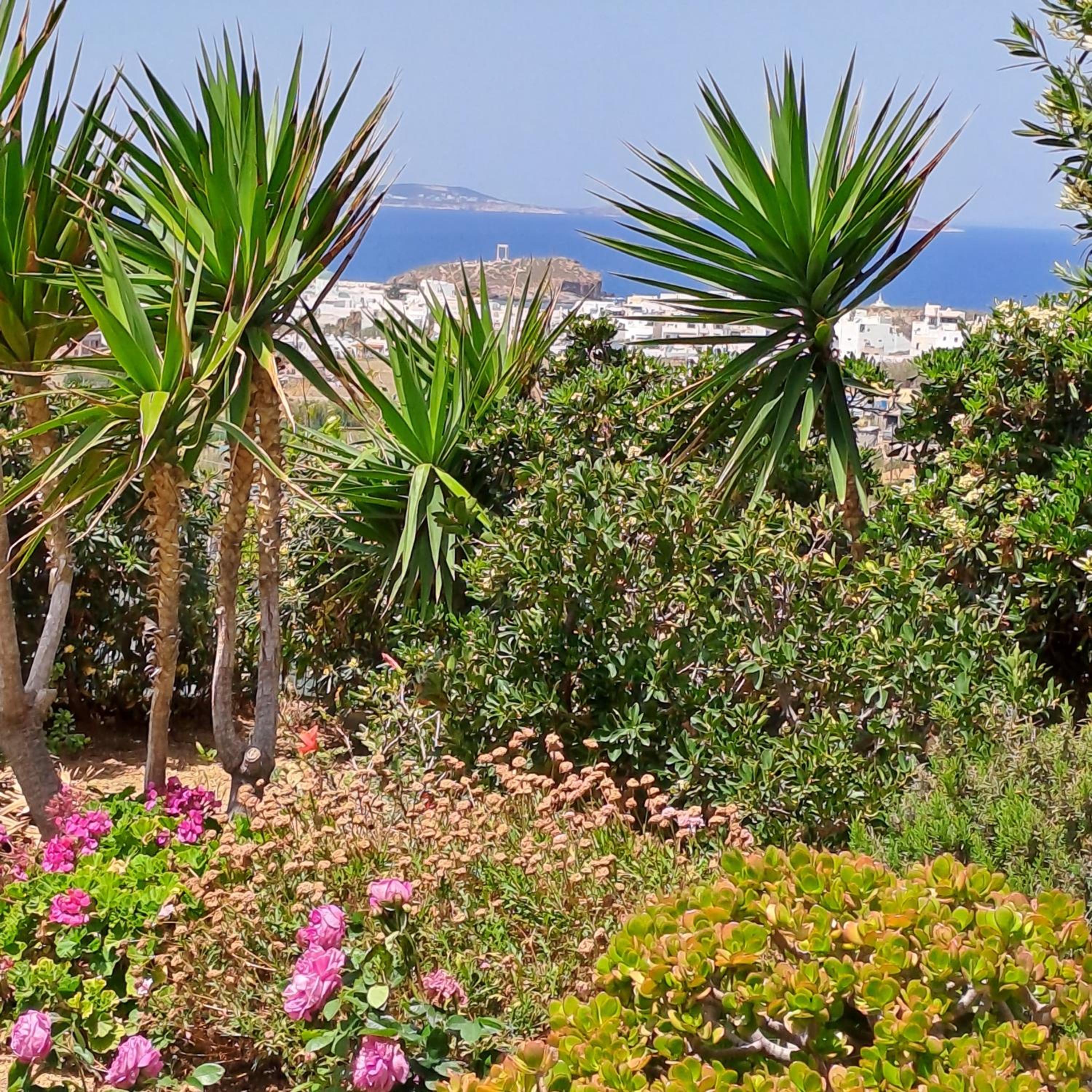 Naxian Sofias garden photo 3