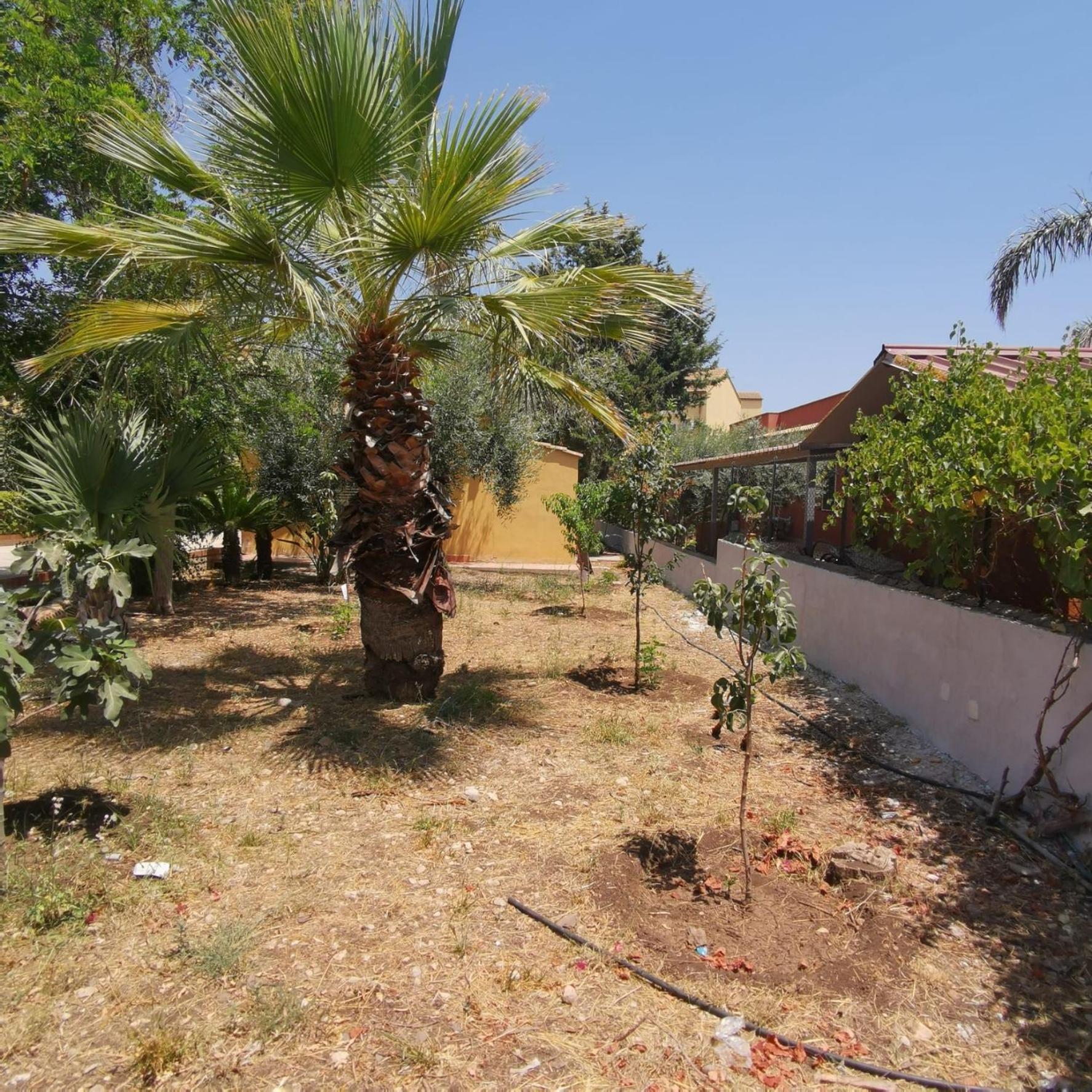La casa della nonna