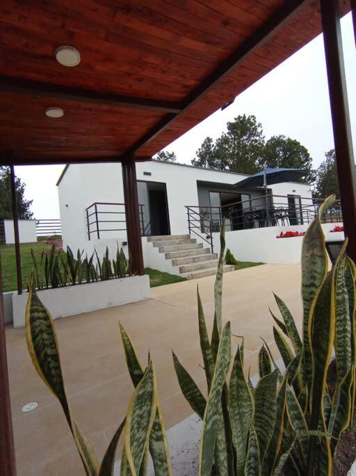 Villa moderna con una hermosa piscina, fogata y BBQ