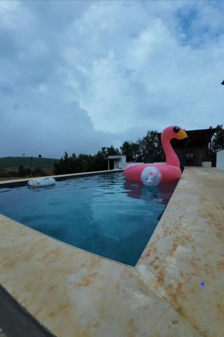 Villa moderna con una hermosa piscina, fogata y BBQ