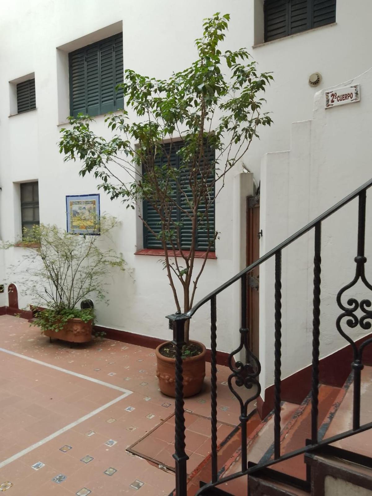 Acogedor e impecable apartamento neocolonial