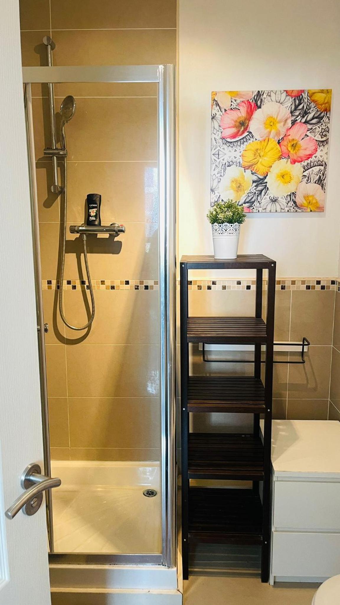 Entire Spacious 2 bedroom 2 bathroom apartment