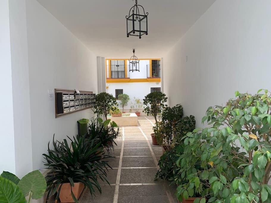 apartamento con parking plaza del museo view 4
