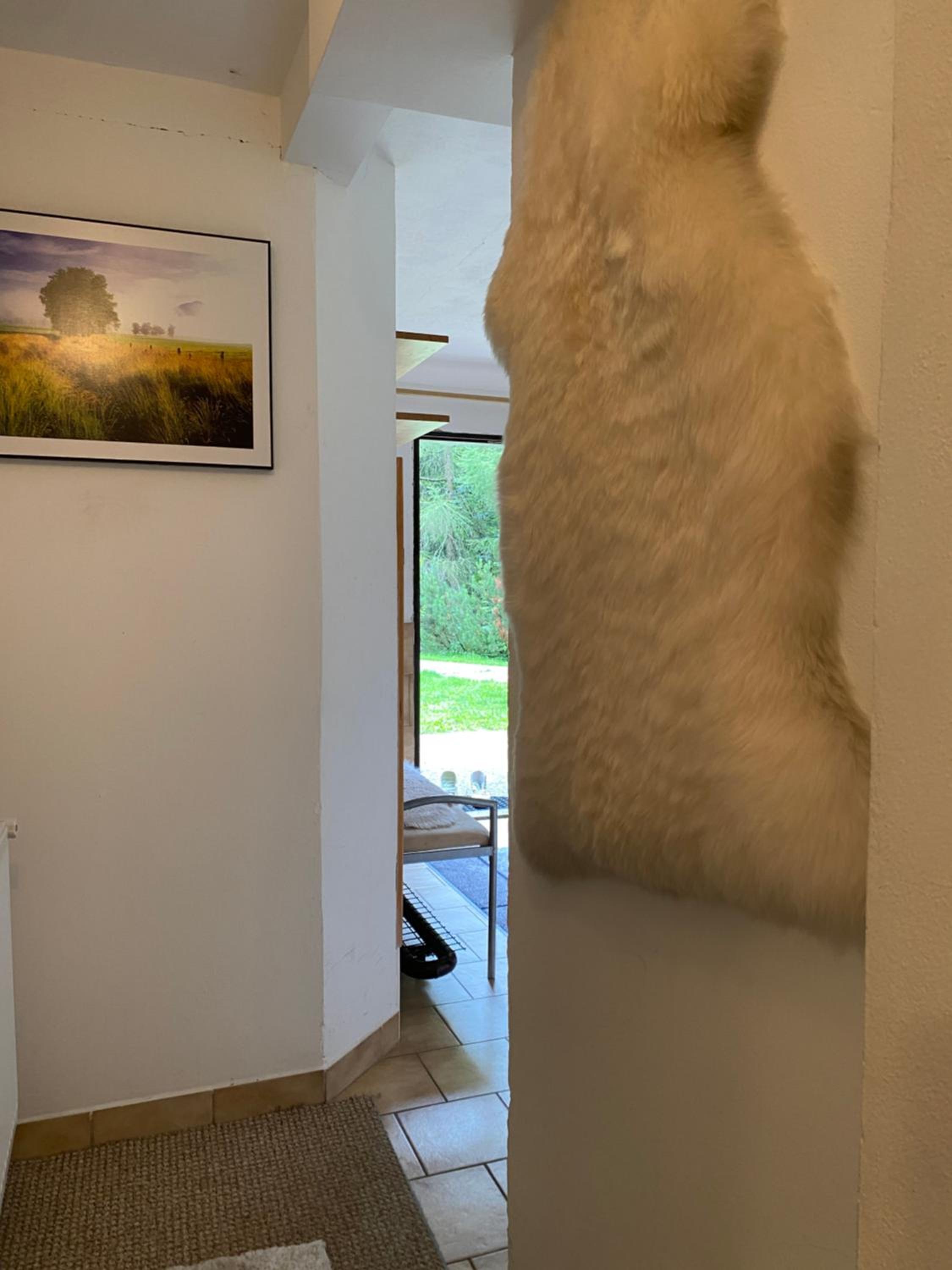 Samostatný apartmán se zahradou