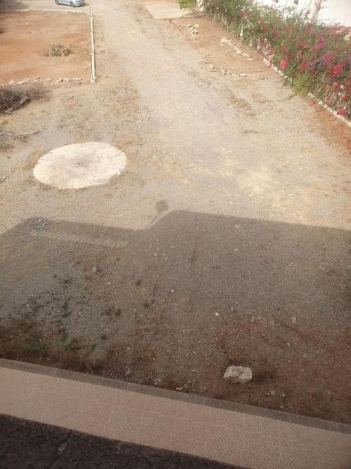Photo 6