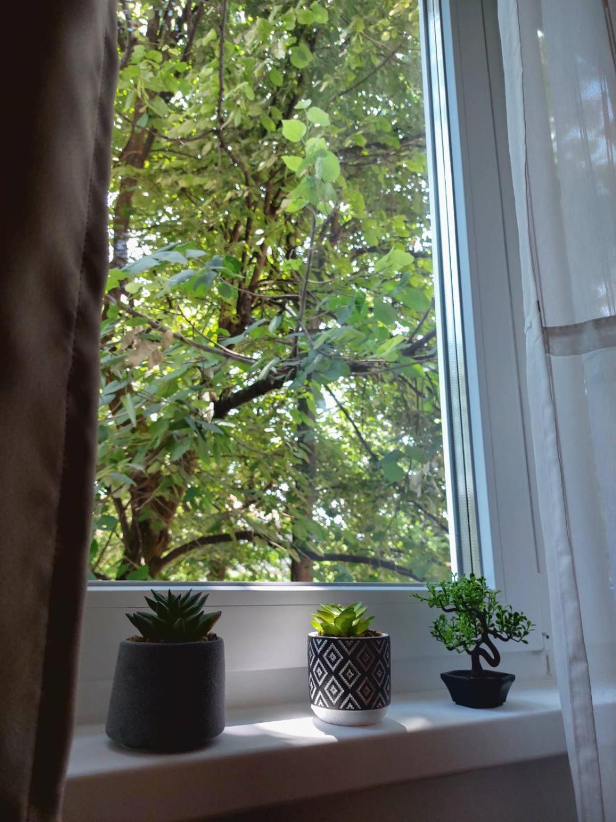 Apartman ReJna