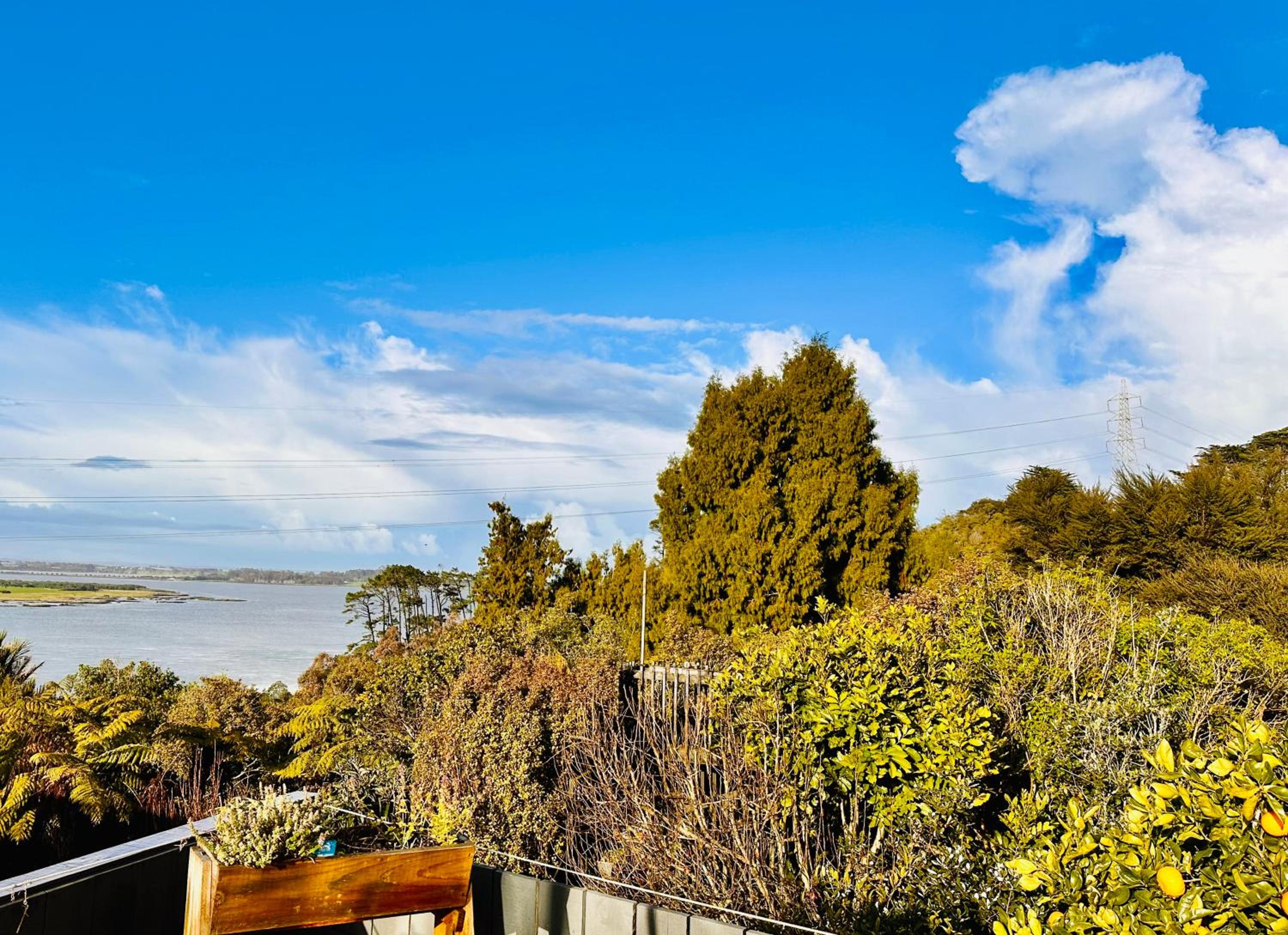 Natures own guesthouse view 5