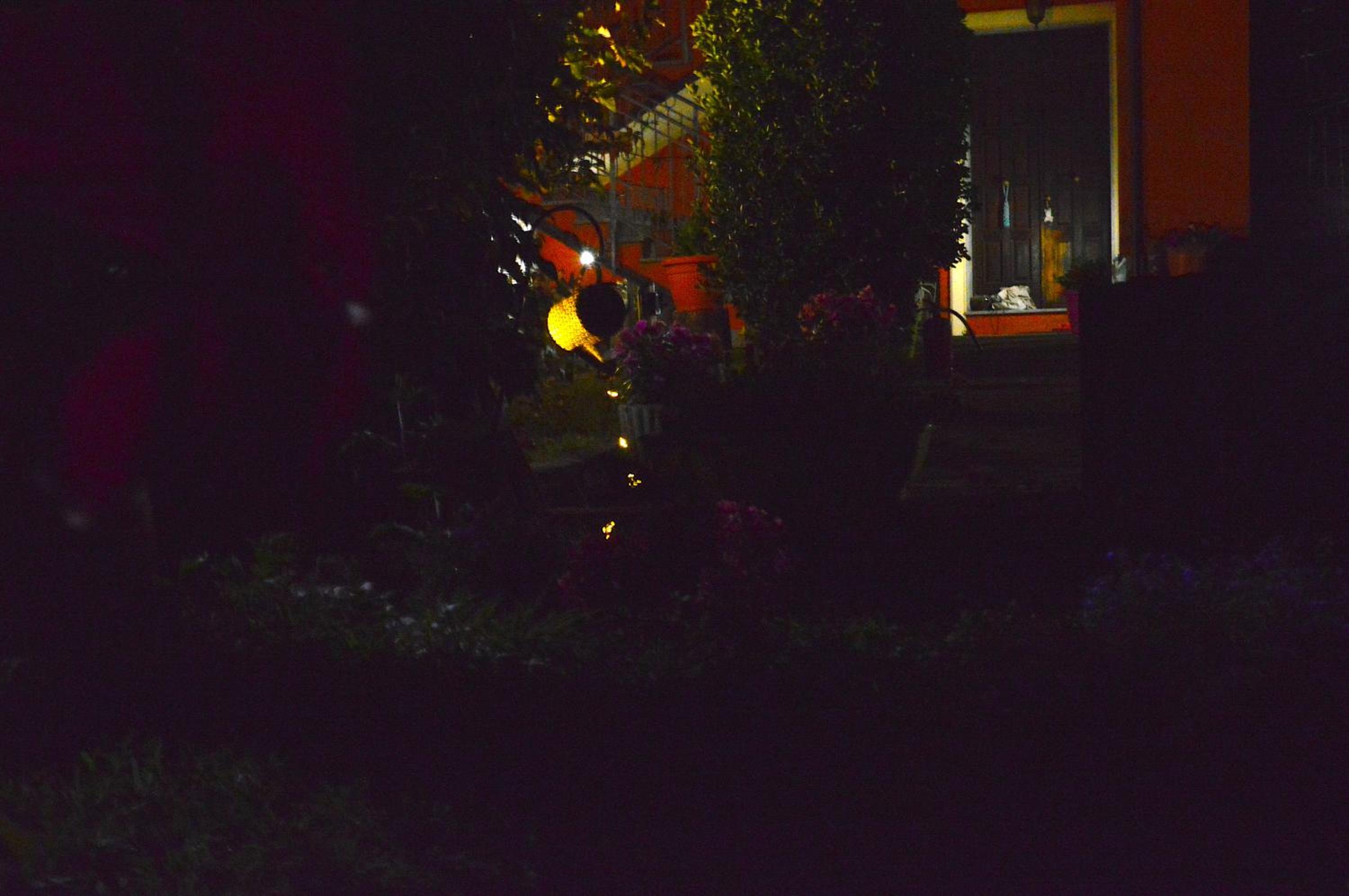 Photo 43