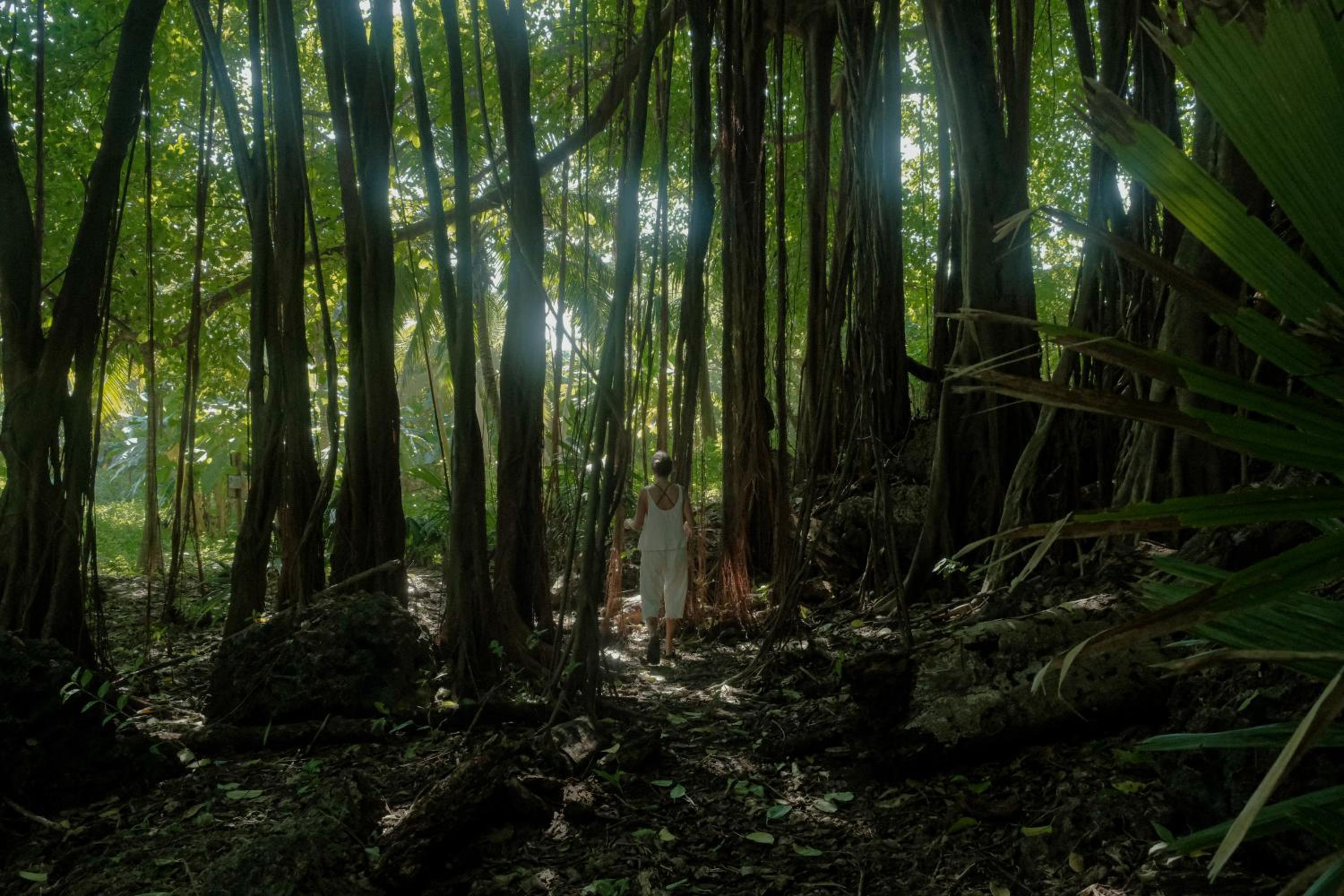 Isla Fuerte Eco House