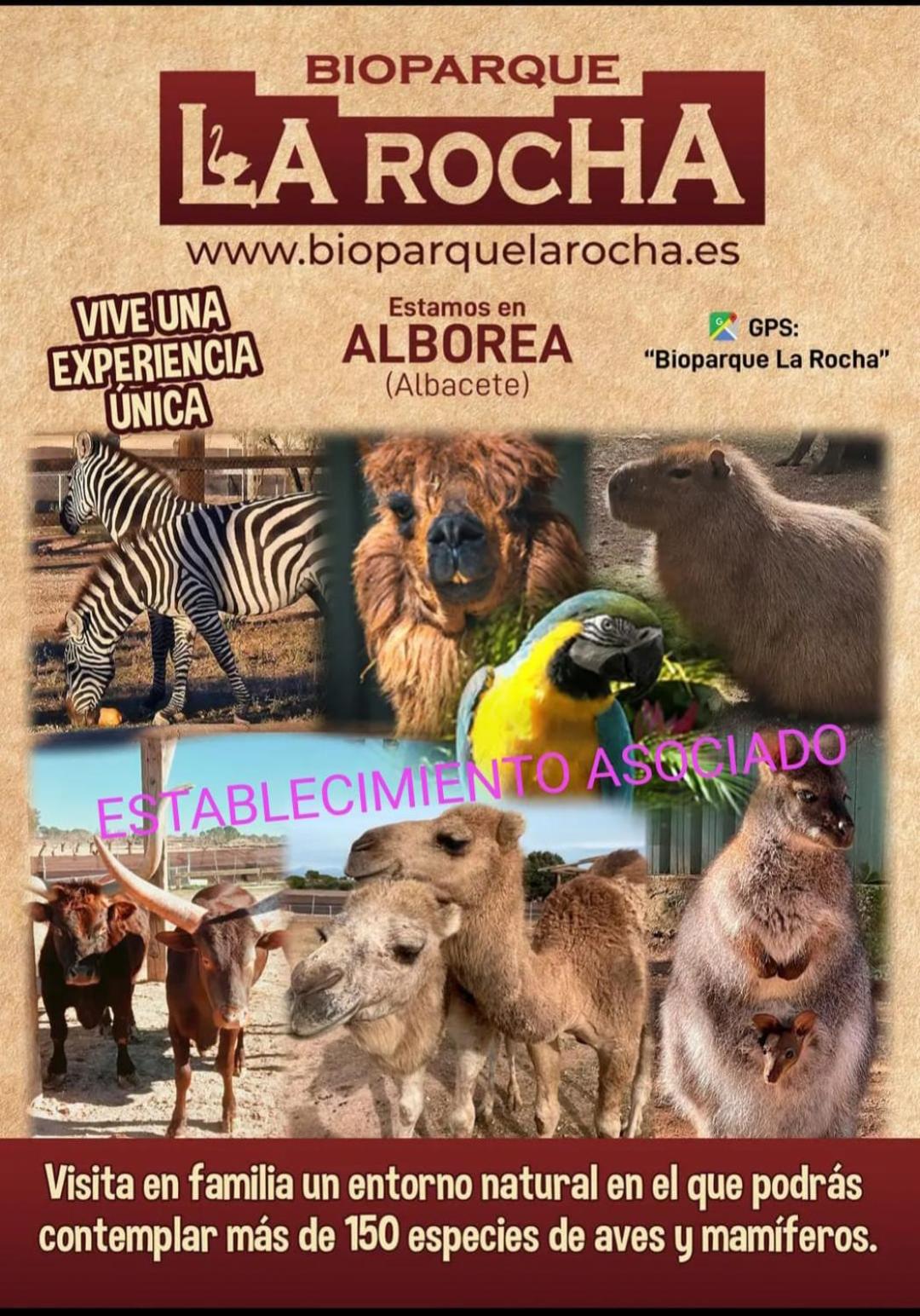 Rodenas Valero Alborea